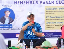 Support UMKM, IKA SMANSA Bulukumba Gelar Sharing Session di Pantai Merpati