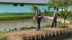 Jadikan Sumber Mata Pencaharian Baru, Warga Pomdam XIV/Hsn Manfaatkan Lahan Sekitar