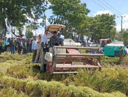 Panen Padi Serentak Se Indonesia, Bupati Jeneponto Paris Yasir: Tahun Ini Produktivitas Meningkat