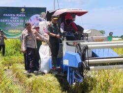 Dipanen Padi Serentak Bersama Presiden RI, Dandim 1425 Jeneponto Bersama Forkopimda Berkomitmen Dukung Ketahanan Pangan