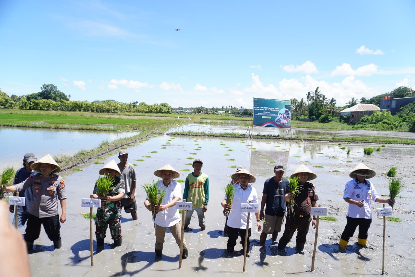 “Bupati dan Wakil Bupati Jeneponto Tanam Padi Serentak, Wujudkan Kemandirian Pangan