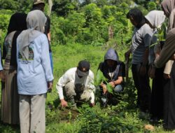 Peringati Hari Bumi Sedunia: BEM Fisip Unismuh Makassar Gelar Aksi Penghijauan