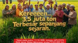 Serapan Beras Bulog Januari–Mei Tertinggi dalam 57 Tahun, Tanpa Impor