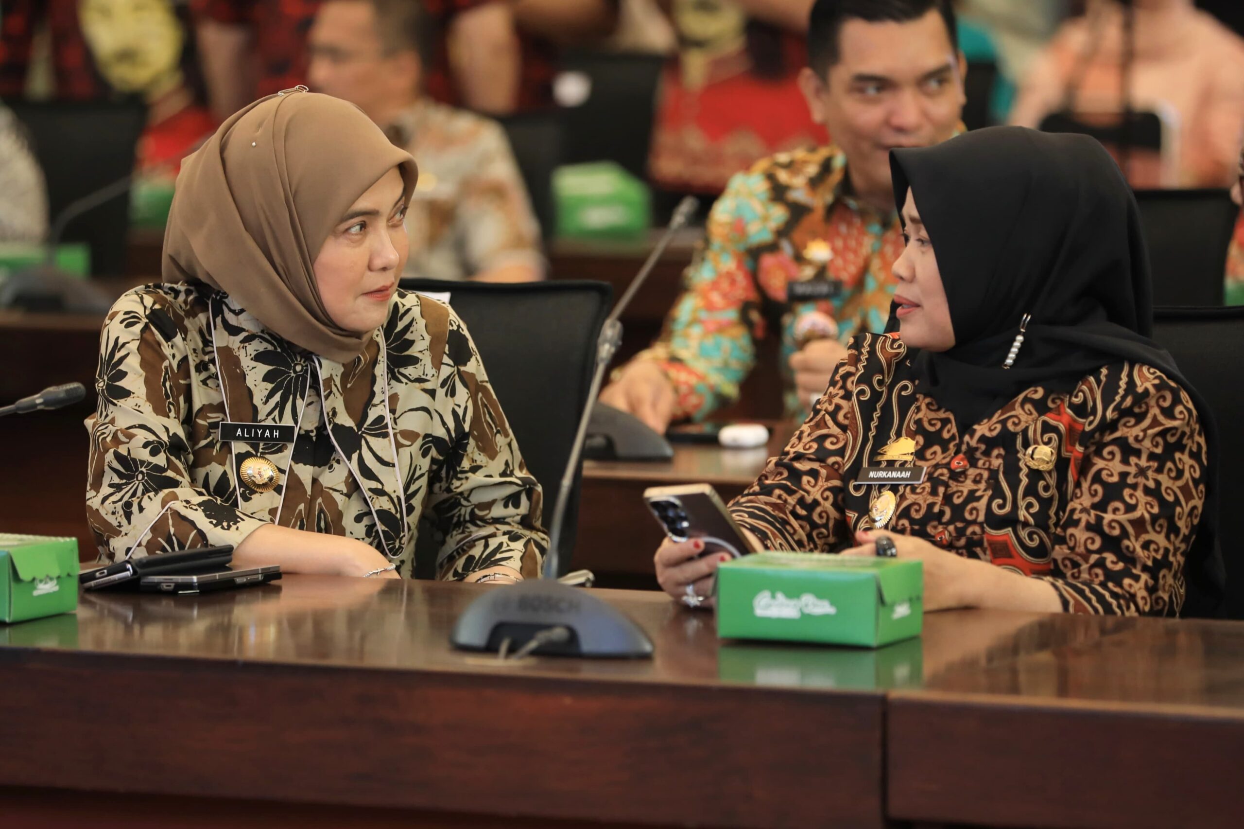 Aliyah Mustika Ilham Perkuat Sinergi Pusat, Provinsi, dan Daerah Cegah Stunting