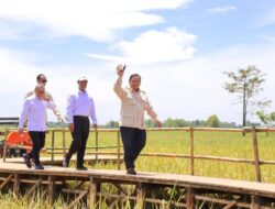 Mentan Amran: Kebijakan Presiden Prabowo Berdampak Besar pada Ketahanan Pangan
