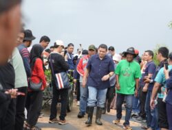 Wali Kota Munafri: Mangrove Kunci Lingkungan dan Ekonomi Berkelanjutan