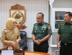 Aliyah Mustika Ilham dan Lemasmil IV Berdiskusi tentang Potensi Kolaborasi