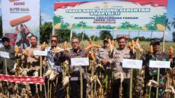 Panen Raya Jagung Serentak Kuartal II Bukti Nyata Dukungan Sektor Pertanian