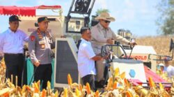 Didampingi Mentan Amran, Presiden Prabowo Pimpin Panen Raya Jagung Di Kalbar