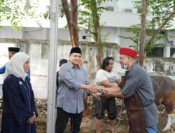 Pemkot Makassar, Bagikan Daging Kurban Kepada Pegawai dan Petugas Kebersihan