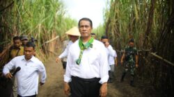 Mentan Amran Beberkan 6 Strategi Kunci Capai Swasembada Gula Nasional