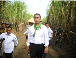 Mentan Amran Beberkan 6 Strategi Kunci Capai Swasembada Gula Nasional