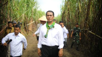Mentan Amran Beberkan 6 Strategi Kunci Capai Swasembada Gula Nasional
