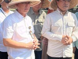 Inisiatif Pertanian di Bantul, Langkah Nyata untuk Swasembada Pangan
