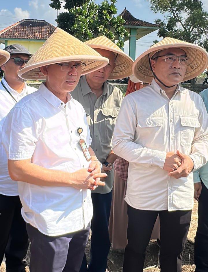 Inisiatif Pertanian di Bantul, Langkah Nyata untuk Swasembada Pangan