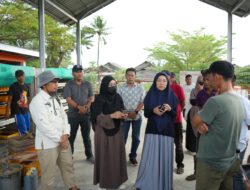 Melinda Aksa Tinjau TPS3R Kelurahan Untia, Dorong Sinergi Atasi Sampah dan Dukung Urban Farming Melinda Aksa Tinjau TPS3R Kelurahan Untia, Dorong Sinergi Atasi Sampah dan Dukung Urban Farming