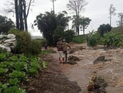 BREAKING NEWS: Jembatan Penghubung di Lannying Terputus, Akses Menuju Pinus Rombeng Lumpuh Total