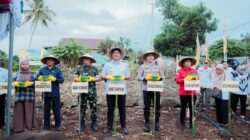 Dukung Program Swasembada Pangan Bupati Bantaeng Tanam Jagung Serentak