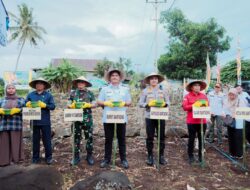 Dukung Program Swasembada Pangan Bupati Bantaeng Tanam Jagung Serentak Dukung Program Swasembada Pangan Bupati Bantaeng Tanam Jagung Serentak