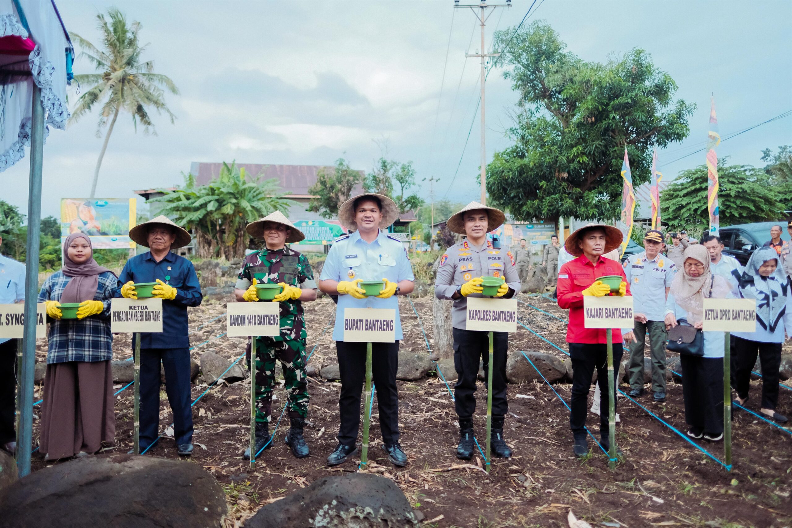 Dukung Program Swasembada Pangan Bupati Bantaeng Tanam Jagung Serentak