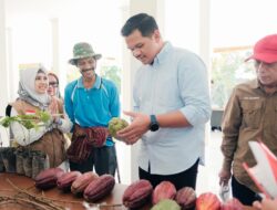 Produksi Kakao Siap Meningkat, Bupati Uji Nurdin Gandeng Fakultas Pertanian Unhas Produksi Kakao Siap Meningkat, Bupati Uji Nurdin Gandeng Fakultas Pertanian Unhas
