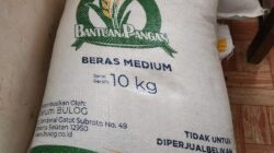 Beras Bantuan dari Bulog Bulukumba Diduga  Berkutu, Warga Geram dan Minta Audit