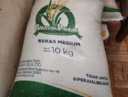 Beras Bantuan dari Bulog Bulukumba Diduga  Berkutu, Warga Geram dan Minta Audit