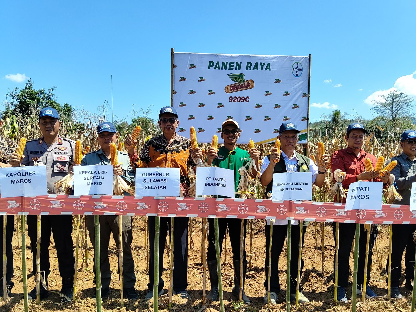 Dukung Swasembada Jagung, PT Bayer dan Dinas Pertanian Gelar Panen Raya