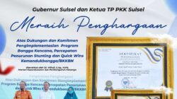 Berhasil Turunkan Angka Stunting, Pemprov Sulsel Raih Penghargaan Quick Wins
