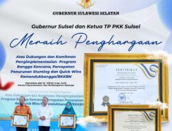 Berhasil Turunkan Angka Stunting, Pemprov Sulsel Raih Penghargaan Quick Wins