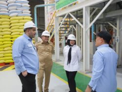Titik Soeharto dan Munafri Tinjau Gudang dan Pengolahan Beras di Makassar