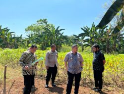Wali Kota Makassar Tinjau di Antang, Disiapkan Jadi Taman Kota dan Fasilitas Olahraga