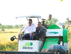 Bersama Forkopimda, Bupati Bantaeng Hadiri Panen Serentak Komoditi Padi di Nipa-Nipa