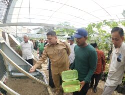 Wali Kota Munafri Dorong Gerakan Urban Farming Berbasis Komunitas