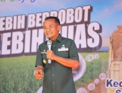 Bupati Bone Panen Raya di Desa Palakka, Dorong Swasembada Pangan