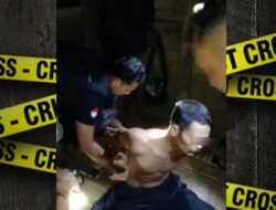 Polisi Ringkus Residivis Pencuri Sapi, 3 Ekor Sapi Berhasil Diamankan