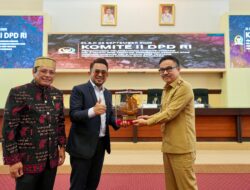 DPD RI Apresiasi Langkah Pemprov Sulsel dalam Tata Kelola Pertambangan