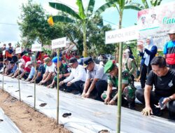 Launching Kebun MBG Terintegrasi, Gubernur Sulsel: SPPG Wajib Serap Pangan Lokal