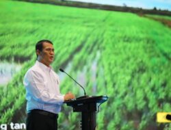 Kementan Raih Kepercayaan Publik, Stok Beras Aman: Bukti Nyata Kerja Keras Petani dan Sinergi Pemerintah