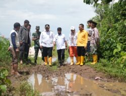 Munafri Tinjau Jalan Terjal Rusak di di Romang Tangayya