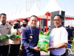 Bukti Keberpihakan untuk Petani, Pemprov Sulsel Siap Luncurkan 5000 Ton Program Mandiri Benih