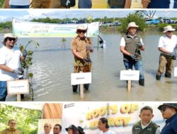 PLN Tanam Ribuan Pohon dan Berikan Bantuan Sembako di Jeneponto