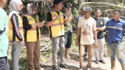 Pemprov Sulsel Perkuat Konektivitas dengan Tinjauan Ruas Jalan Ussu-Nuha