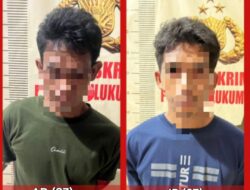Beraksi di 7 TKP, Dua Spesialis Pencuri Gabah Diringkus Polisi