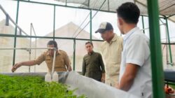 Bupati Uji Nurdin Tinjau Proses Kultur Jaringan Bantaeng