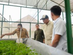 Bupati Uji Nurdin Tinjau Proses Kultur Jaringan Bantaeng