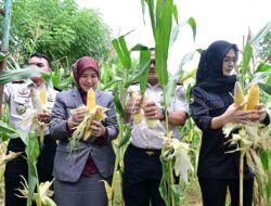 Aliyah Mustika Ilham Hadiri Panen Raya di Lapas Kelas I Makassar