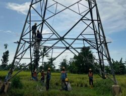 Peningkatan Keandalan Jaringan, PLN Icon Plus Perkuat Konektivitas Digital