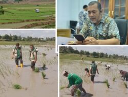 Irigasi Karelloe Teraliri Air, Dinas Pertanian Jeneponto Pantau Realisasi