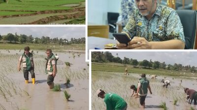 Irigasi Karelloe Teraliri Air, Dinas Pertanian Jeneponto Pantau Realisasi